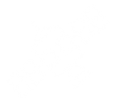 perfect form client white logos (5)